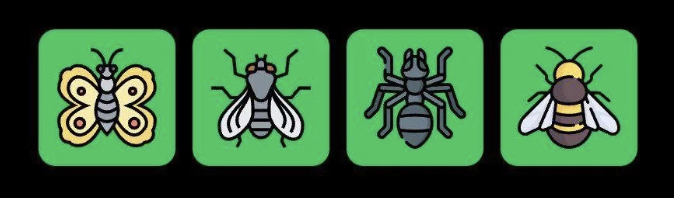FLIES Daily Combo 5 April 2025